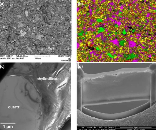 Figure 2. Electron microscope characterizations of the rock sample at location (i), where the 461 