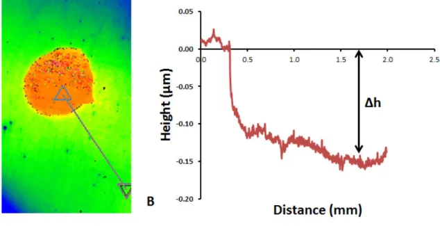 Fig.  3.  A.  Surface  topography  of  the  (001)  surface  dissolved  for  ~  8h  measured  using  VSI