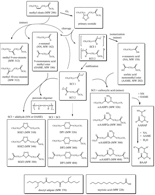 Fig. 2. Proposed reaction pathways for the ozonolysis of pure methyl oleate. Formation pathways of HMW organic peroxides are shown, including secondary ozonides (SOZ’s), α-acyloxyalkyl peroxides (αAAHP’s), diperoxides, and monoperoxide oligomers