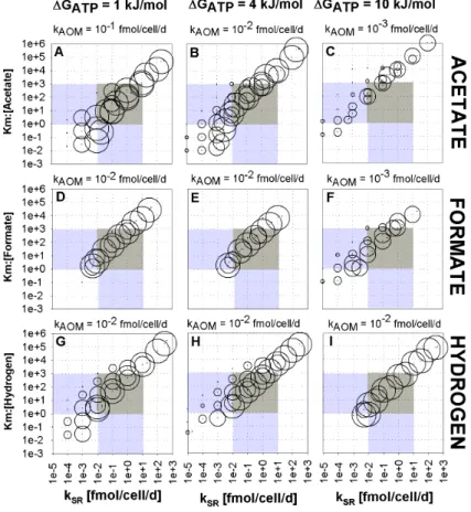 Fig. 4. Rates of AOM calculated using a 3 µm diameter aggregate under 19 mM methane concentration and various assumed minimum free energy thresholds ( ∆ G ATP values) for each of the intermediate species (acetate, panels A–C; formate, panels D–F; and hydro