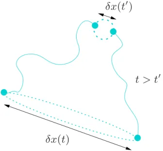 Fig. 1. Set of trajectories for a pair of fluid parcels evolving ei- ei-ther forwards (t &gt;t ′ ) or backwards (t &lt;t ′ ) in time