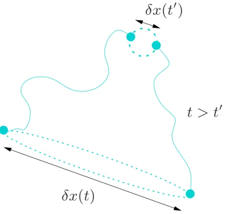 Fig. 1. Set of trajectories for a pair of fluid parcels. evolving either forwards (t>t ′ ) or back- back-wards (t<t ′ ) in time