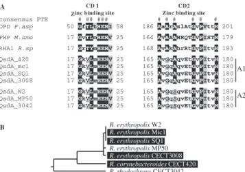 TABLE 2. QQ capabilities of P. fluorescens strain 1855-344 harboring qsdA P. carotovorum PCC 797 concn (cells ml ⫺1 ) a Pathogen/quencherratio