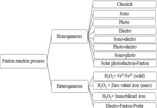 Fig. 1   Types of Fenton reac-  tion processes used in treating  organic pollutants in water 