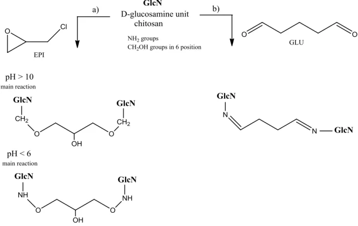 Fig. 1    Synthesis of cross-linked chitosan hydrogels: a epichlorohydrin EPI and b glutaraldehyde GLU