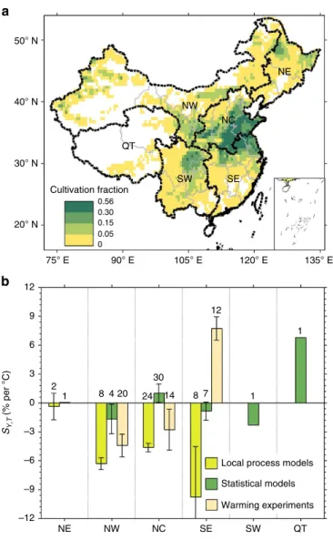 Figure 2 | Spatial patterns of wheat cultivation fraction and S Y,T in China.