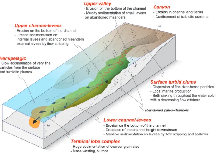 Figure 2. Sedimentary processes in the surface and submarine environment off the Congo River mouth with the main characteristics of the different  environments of the turbidite system (inspired from Babonneau, 2002).