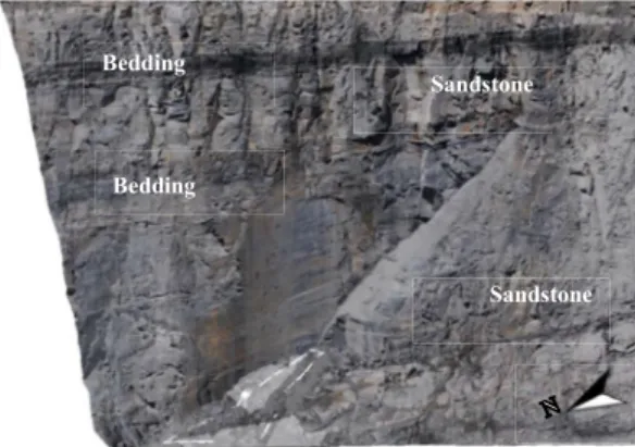 Fig. 2. Rock failure at the toe of the wedge outlined with a white polygon at the lower part of the ﬁgure.