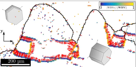 Figure 1: Serrated grain boundary observed in sample CI01. The ratio ||WBV|| |W BV c | (see text) and the WBVs are plotted for the pixels where ||WBV|| is higher than 1.4 × 10 −3 µm −1 
