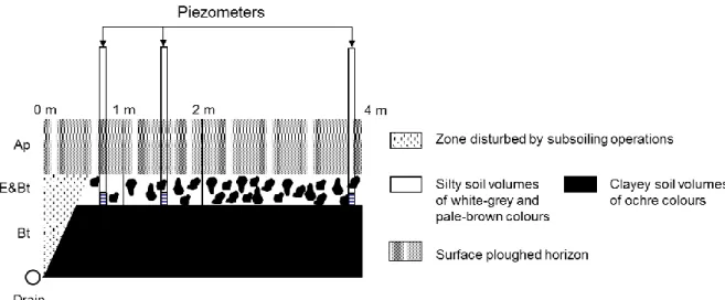 Figure  1: Schematic  representation  of  the  evolution  of the  relative abundance  of  the  different  soil  volumes  with  distance  from  the  drain  after  Montagne  et  al