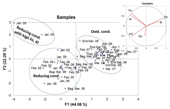 Figure  7: Principal  component  analysis  of the piezometer  waters. 
