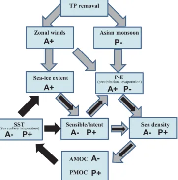Figure 8. Schematic diagram about the influence of the removal of TP on the AMOC and PMOC