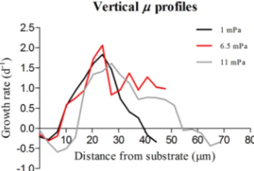 Figure 2.  Vertical profile of growth rate in the biofilms formed by C. vulgaris grown at three hydrodynamic  shears: 1.0, 6.5 and 11.0 mPa