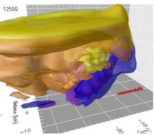 Fig. 5. Spatial distribution of the 0.4 g kg − 1 -isosurfaces of the simulated (blue) cloud water, (purple) rain water, (yellow) cloud ice, and (orange) graupel after 40 minutes of simulation time