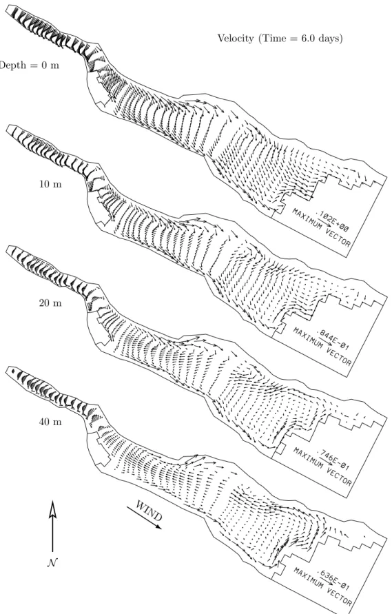 FIG. 10: Velocity vectors,6 days after a constant northwest wind (305 ◦ NW in the longitudinal direction of the basin) sets up in 0 m,10 m,20 m and 40 m depth