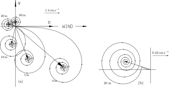 FIG. 3: Time series of the horizontal velocity components u (a) and v (b) in the rectangular basin subject to constant wind from West computed with constant vertical eddy viscosity ν v = 0.005m 2 s −1 