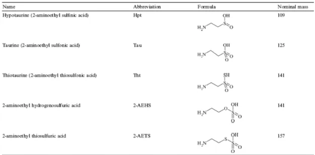 Table 1.  : Names, abbreviations, formulas, and nominal mass (for MS) of studied sulfur amino acids 