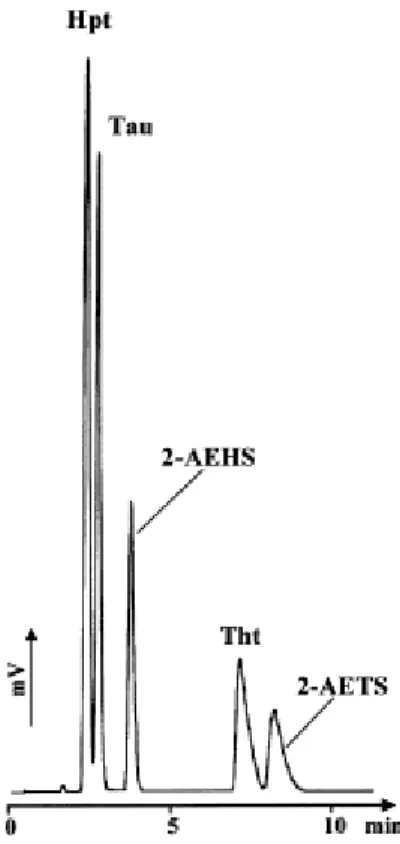 Fig. 2. LC–ELSD analysis of a standard solution of underivatized sulfur amino acids (100 mg/L each) on PGC