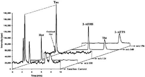 Fig. 3. LC–MS (total ion current and specific extracted ion current) analysis of a standard solution of  underivatized sulfur amino acids (20 mg/L each) on PGC