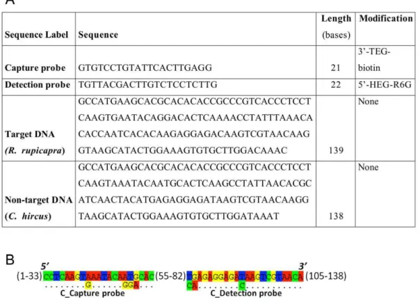Figure 4. Probes and DNA characteristics. (A) Probes and DNA sequences. (B) Alignment of Non target DNA (C