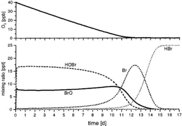 Fig. 13. Model calculation: analogous to Fig. 12, time-dependent development of O 3 and bromine compounds including heterogeneous oxidation but for only half of the initial bromine compared to Fig