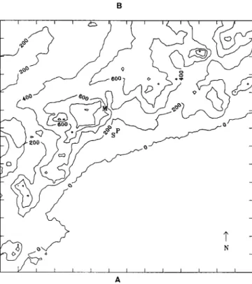 Fig. 1. Map of the analyzed region. Spacing between elevation contours is 200 m. P indicates the main source of pollutant, M the surface meteorological and air quality measuring station, and S corresponds to the sodar location