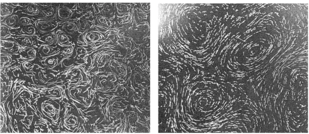 Fig. 6. Streak photography images of small-scale turbulence (in this case, the graphs are for two-dimensional turbulence)
