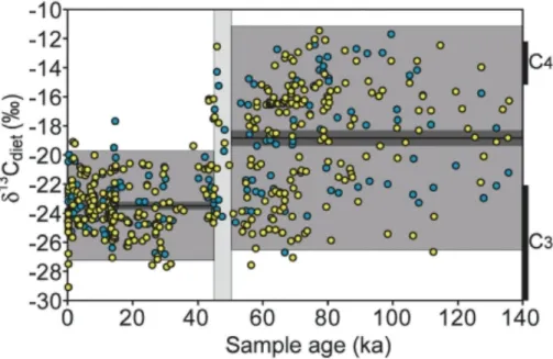 Fig. 5. 140 kyr dietary δ 13 C record for Dromaius from around Lake Eyre, showing the dramatic change in dietary resources that occurred between 50 and 45 ka