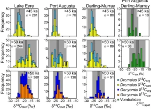 Figure 6.  Histograms of dietary δ 13 C for Dromaius and Genyornis eggshell and Wombat tooth enamel from Lake Eyre, Port Augusta  and the Darling-Murray lakes contrasting the diets of animals that lived before 50 ka with those living after 45 ka