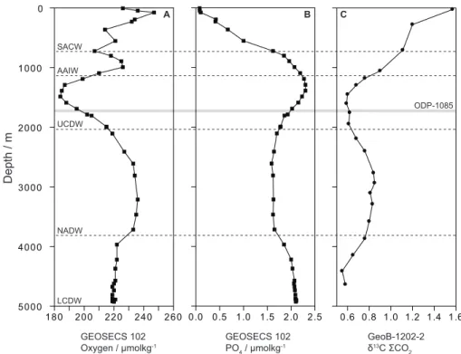 Fig. 2. Dissolved oxygen,phosphate, and δ 13 C P