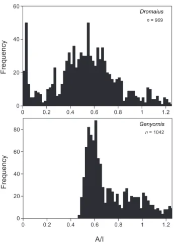 Fig. 3. Frequency histograms showing the extent of amino acid racemization (A/I) in eggshells of Genyornis and Dromaius from the Lake Eyre region over the past 150 ka
