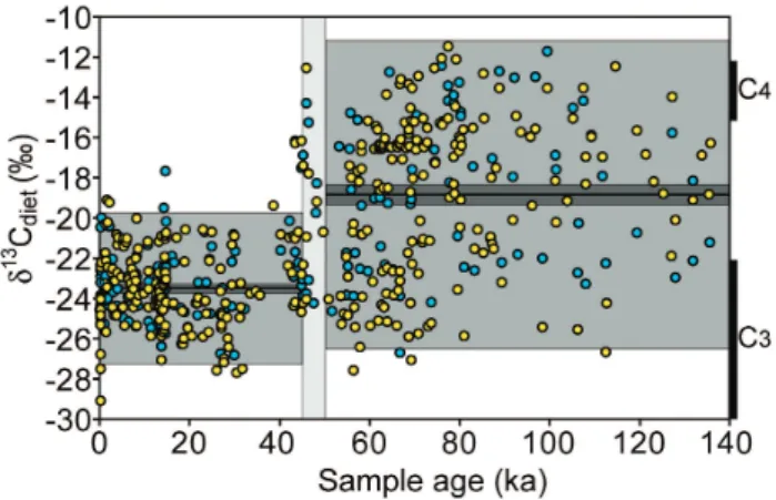 Fig. 5. 140-kyr dietary δ 13 C record for Dromaius collected around Lake Eyre, showing the dramatic change in dietary resources that occurred between 50 and 45 ka