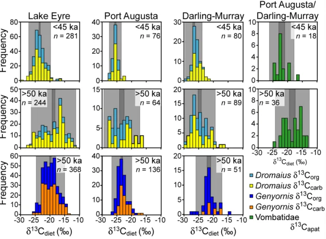 Fig. 6. Histograms of dietary δ 13 C for Dromaius and Genyornis eggshell and Wombat tooth enamel from Lake Eyre, Port Augusta and the Darling-Murray lakes contrasting the diets of animals that lived before 50 ka with those living after 45 ka