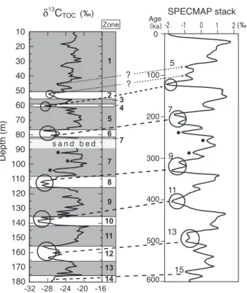 Fig. 4. Comparison of the δ 13 C records with the non-arboreal pollen (NAP) variation curve from the RB core (Fujii et al., 2004;