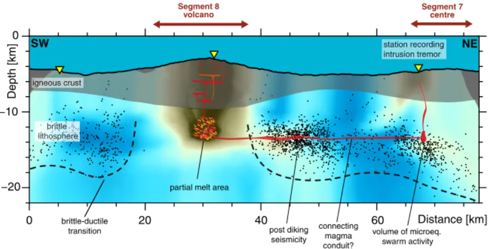 Figure 4.  Conceptual sketch illustrating the lithospheric structure and the magma plumbing system below  the Segment 8 volcano