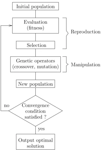 Fig. 2. Simple genetic algorithm (SGA) structure.