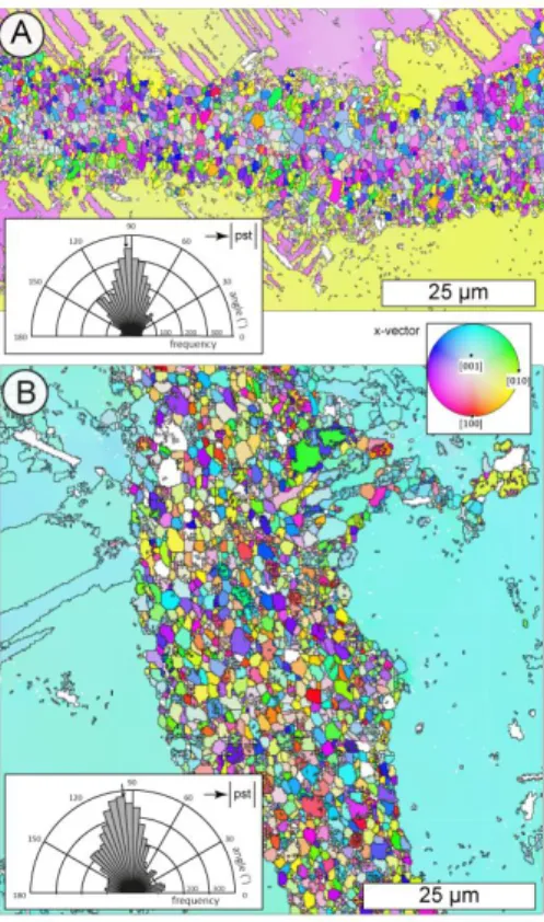 Figure  2:  Crystallographic  orientations  of  the  grains  within  the  microfractures