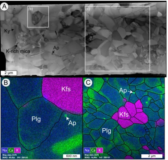 Figure 6: Microstructures of MF2. (a) Bright field image of the entire FIB cut from Fig