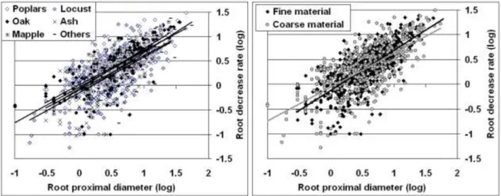 Figure 6: Relationship between root diameter decrease rate (cm/m) and root proximal diameter (cm) by species all  roots together and by material (logarithm scale; -1 = 0.1 cm and 1= 10 cm)