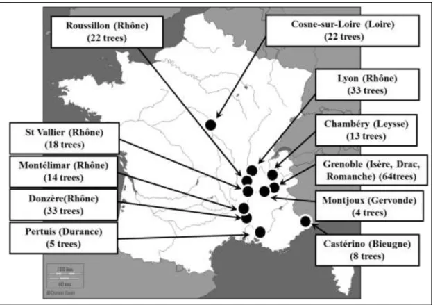 Figure 1: Study sites (rivers) and number of trees per site 