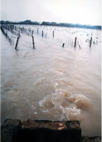 Fig. 16. Big flood at Torre del Pizzo, near Gallipoli municipality.