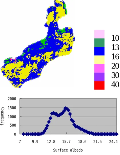 Fig. 2. (a) Image of surface albedo. (b) Histogram of surface albedo.