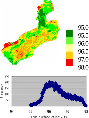 Fig. 3. (a) Image of emissivity. (b) Histogram of surface emissivity.