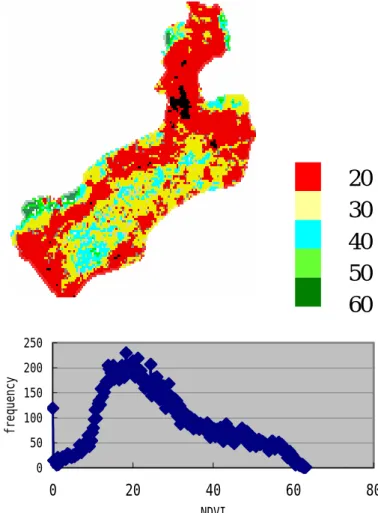 Fig. 4. (a) Image of NDVI. (b) Histogram of NDVI.