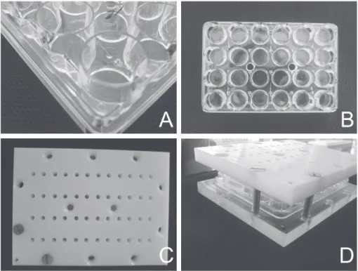 Fig. 1. Design of the experimental set-up. (A): close-up of a culture tray. (B): overview of a culture tray