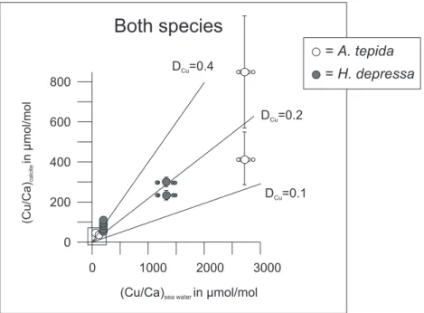 Fig. 5. Plot of Cu/Ca ratios in foraminiferal calcite of the added chamber versus the Cu/Ca of the sea water in which they were incubated.