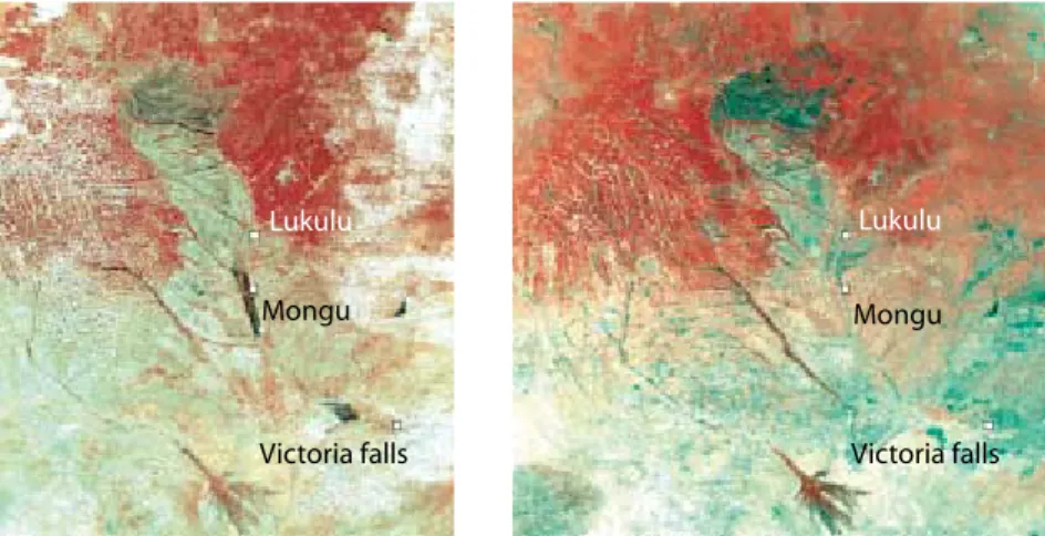 Fig. 2. MODIS 250 m channel 2 images of the study area. Left: the beginning of the dry season