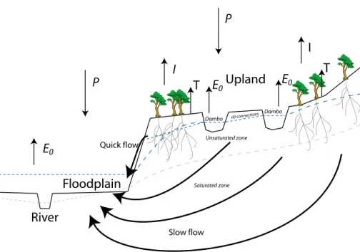 Fig. 4. Overview of the governing hydrological processes in the upper Zambezi.