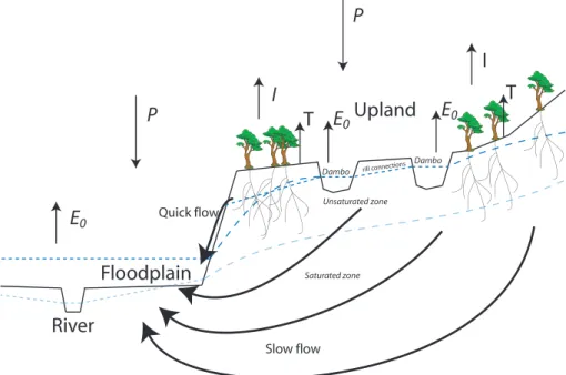 Fig. 4. Overview of the governing hydrological processes in the upper Zambezi.