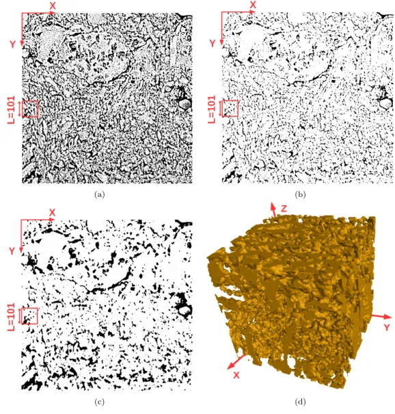 Figure 7: The first image (5480 × 5475 nm) in a stack of the illite sample images treated by (a) the Gaboreau et al advanced method [19]; (b) the erosion method; (c) the Otsu method